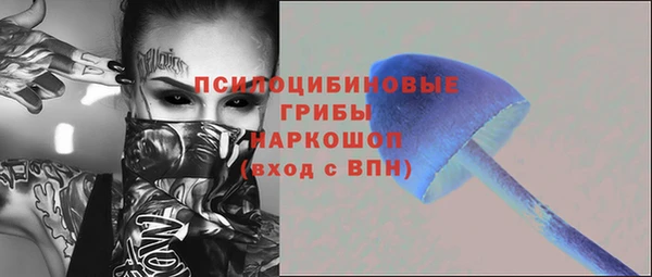 круглые Алексеевка