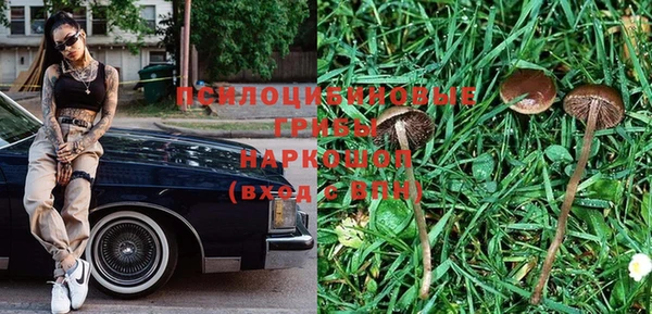 круглые Алексеевка