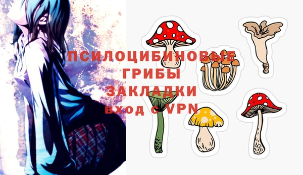 крисы Абинск