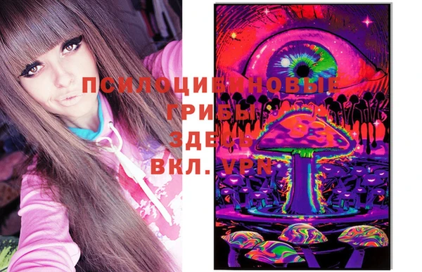 круглые Алексеевка