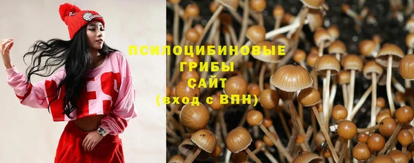 круглые Алексеевка